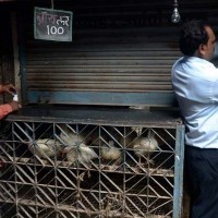 Navrathri: Shiv Sainiks force shut over 500 meat, chicken shops in Gurgaon