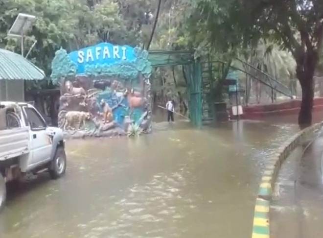 Relief work underway in Hyderabad after downpour
