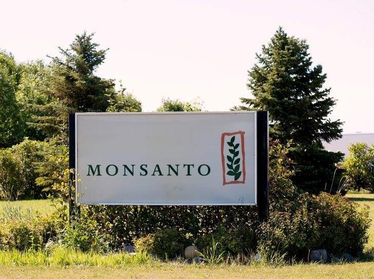 AP To Inspect Cultivation Of Monsanto’s Unapproved GM Cotton