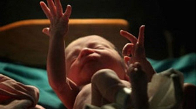 Nine Newborns Die In Ahmedabad Government Hospital In One Day Nine Newborns Die In Ahmedabad Government Hospital In One Day