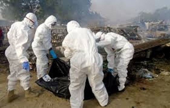 Nigeria Triple Suicide Attack Kills 13, 16 Wounded Nigeria Triple Suicide Attack Kills 13, 16 Wounded