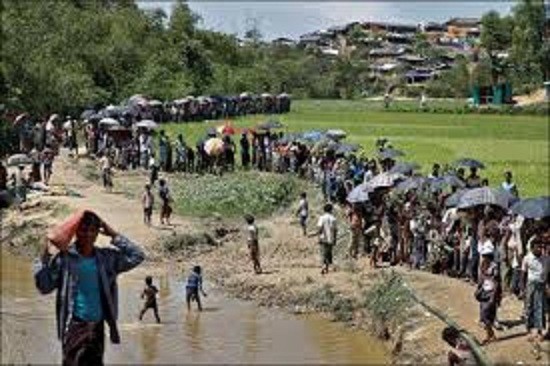 Brutal attacks on Rohingya meant to make their return almost impossible: UN report Brutal attacks on Rohingya meant to make their return almost impossible: UN report