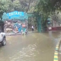 Relief work underway in Hyderabad after downpour