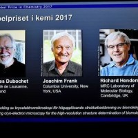 3 Researchers Win 2017 Nobel Prize In Chemistry For Development Of Cryo-Electron Microscopy