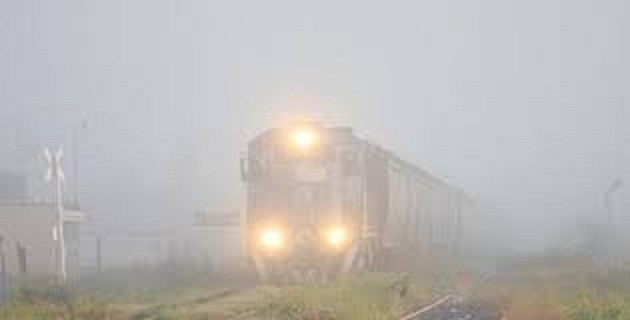 Foggy Monday Morning In Delhi, 69 Trains Delayed Foggy Monday Morning In Delhi, 69 Trains Delayed