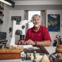 Finger And Toe Fossils Belonged To Tiny Primates 45 Million Years Ago