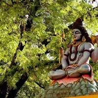 A Shrine Where Liquor Is Offered To The Deity