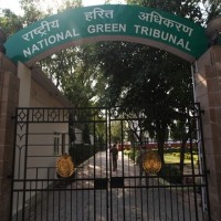 NGT Raps Delhi Govt Over Borewells In Narela, Bawana