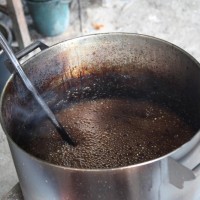 Psychedelic Plant Brew Could Improve Mental Health