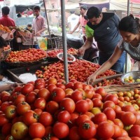 Tomato Prices Harden, Hit Rs 80 Per Kg In Delhi