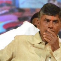Chandrababu Naidu Pitches For South Korean Investment In AP