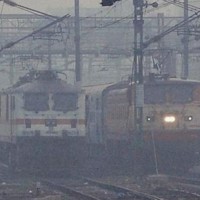 20 Trains Delayed, 10 Cancelled As Air Quality In Delhi-NCR Continues To Remain In Severe Category