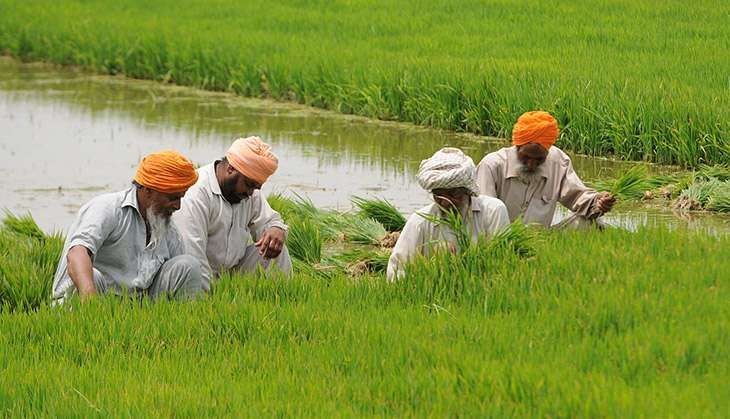 Centre's Farm Package May be More Efficient Than Congress Waivers But Both Would Lead to Fiscal Slippage
