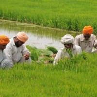 'Indians avoid agriculture studies due to lack of awareness'