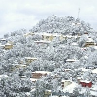 Shimla residents ask tourists to stay away as water crisis worsens 