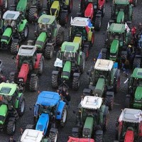 Have you ever seen a tractor rally?