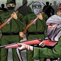 Chhattisgarh sees decline in Naxal violence in last one year