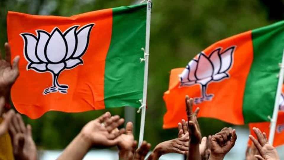 BJP pockets 41% of total seats, marches ahead of Congress in Assam panchayat polls