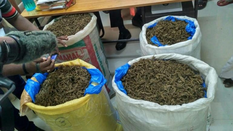 Two Members of Notorious 'Thak-Thak' Gang Caught in Noida with 4 Kg Ganja Two Members of Notorious 'Thak-Thak' Gang Caught in Noida with 4 Kg Ganja