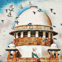 SC allows felling of 452 trees for Delhi-Agra rail line