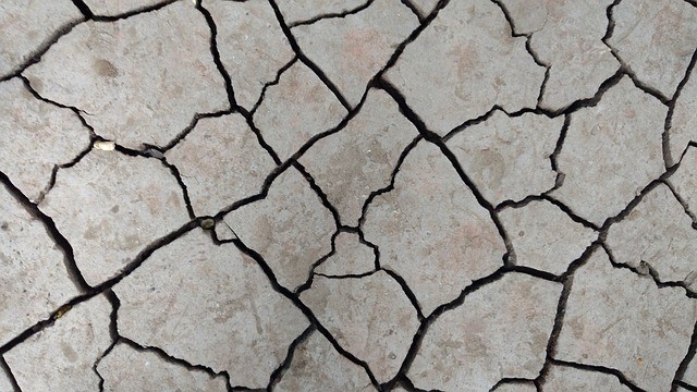 Quake jolts Assam, eastern India Quake jolts Assam, eastern India