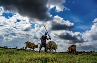 Karnataka woos farmers with goodies in Covid times Karnataka woos farmers with goodies in Covid times