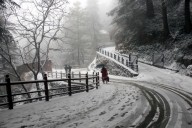 Snowfall in Shimla, Kufri cheers hoteliers Snowfall in Shimla, Kufri cheers hoteliers