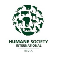 Rs 50K reward for info about man who burnt kitten alive Rs 50K reward for info about man who burnt kitten alive