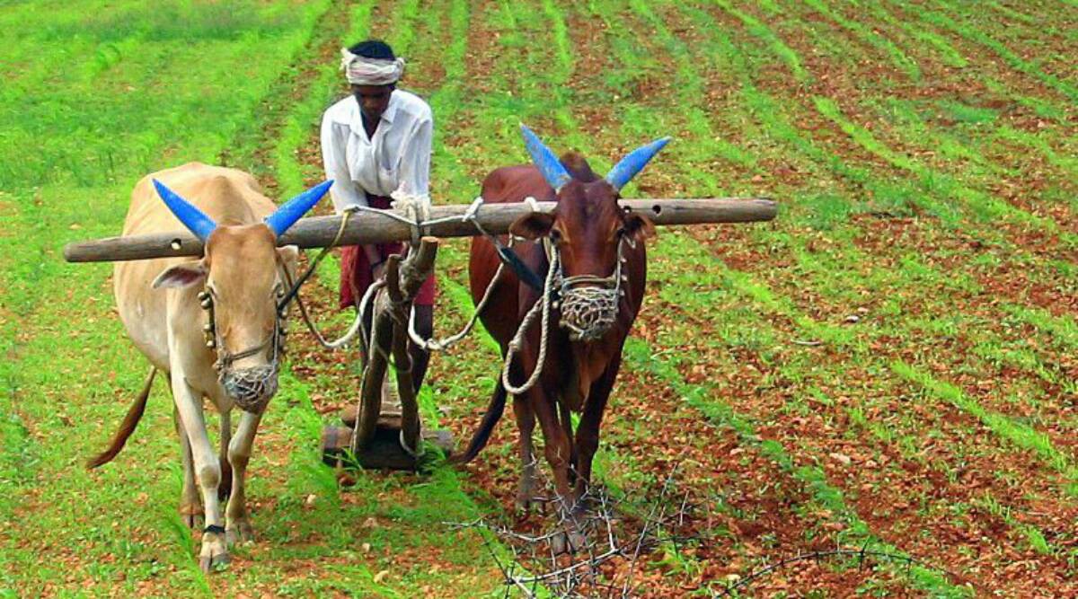 Telugu farmers stare at major crisis amid lockdown Telugu farmers stare at major crisis amid lockdown