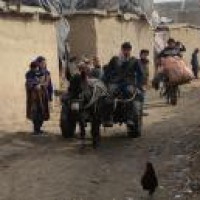 Lockdown imposed in Kabul due to hike in COVID-19 cases