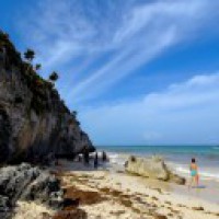 Endangered animals sighted in Mexican Caribbean