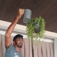 Using this time to reflect on truly important things: 'Gardener' Bumrah