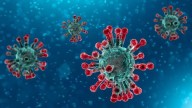 NAM unites to foster global COVID-19 response NAM unites to foster global COVID-19 response