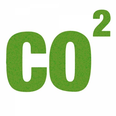 Where did Earth get its carbon from? Where did Earth get its carbon from?
