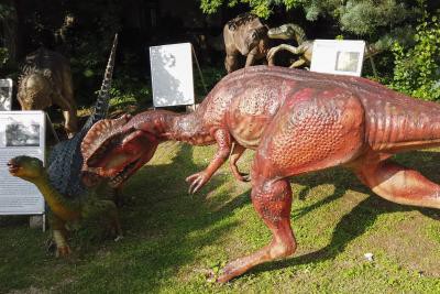 Massive 'Dinosaur dance floor' unearthed in China Massive 'Dinosaur dance floor' unearthed in China