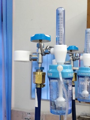 Goa bans export of oxygen cylinders to other states Goa bans export of oxygen cylinders to other states