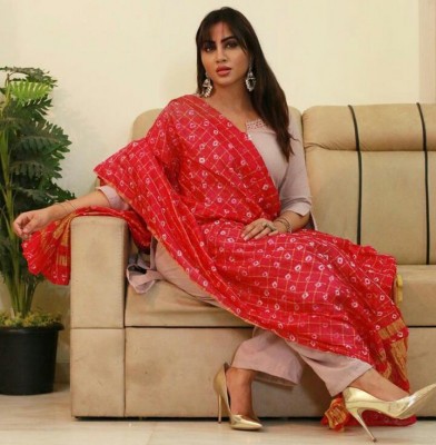 Arshi Khan: Was not serious about my career before 'Bigg Boss' Arshi Khan: Was not serious about my career before 'Bigg Boss'