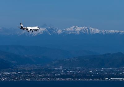 Air New Zealand's trans-Tasman ticket sales hit record high Air New Zealand's trans-Tasman ticket sales hit record high