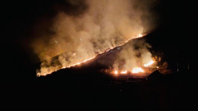 'Negligence' is leading to wildfires in MP's national parks 'Negligence' is leading to wildfires in MP's national parks
