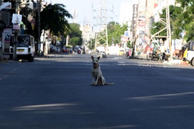 5-year-old girl mauled to death by stray dogs in UP village 5-year-old girl mauled to death by stray dogs in UP village