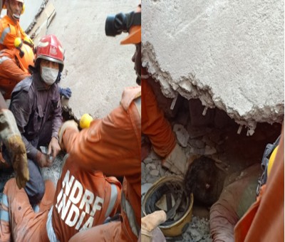 Delhi house collapse: 4 rescued, search on for others Delhi house collapse: 4 rescued, search on for others