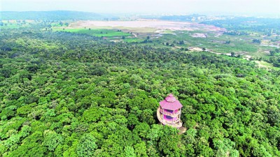 Hyderabad gets 'Tree City of the World tag' for second year Hyderabad gets 'Tree City of the World tag' for second year