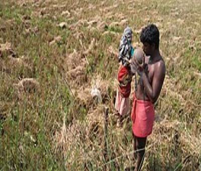 Irula tribals being treated as bonded labourers in duck, paddy farms
