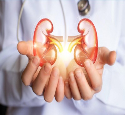 3 foreign nationals arrested in K'taka over fake kidney donation racket 3 foreign nationals arrested in K'taka over fake kidney donation racket