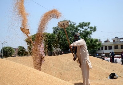With record foodgrain production this year, govt sets higher targets With record foodgrain production this year, govt sets higher targets