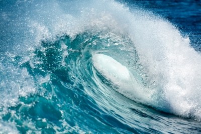 US joins 90-odd nation coalition to protect 30% earth US joins 90-odd nation coalition to protect 30% earth