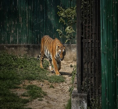 TN to provide housing sites to tribals in Anamalai Tiger Reserve TN to provide housing sites to tribals in Anamalai Tiger Reserve