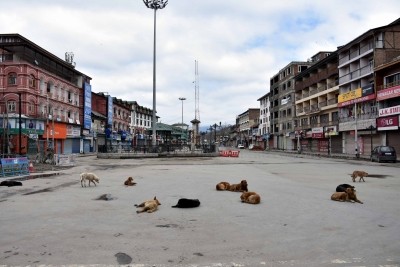 39 people injured in stray dog attack in Srinagar 39 people injured in stray dog attack in Srinagar