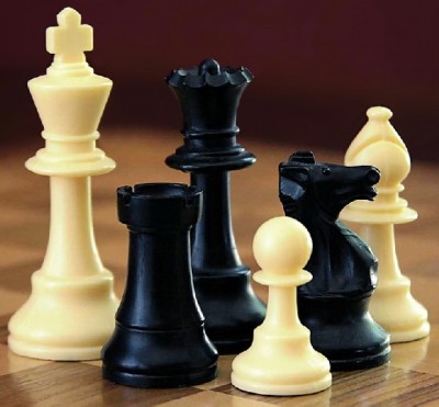 TN companies of chess champion, amateur player look at Olympiad role