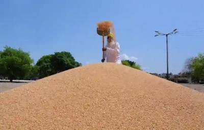 Egypt approves India as a wheat supplier Egypt approves India as a wheat supplier